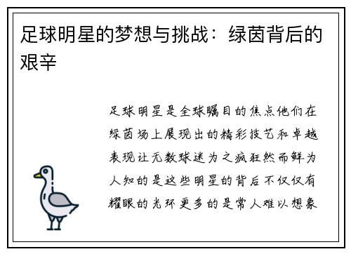 足球明星的梦想与挑战：绿茵背后的艰辛